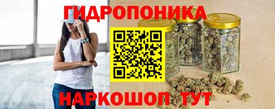 хмурый Бийск