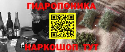 хмурый Бийск
