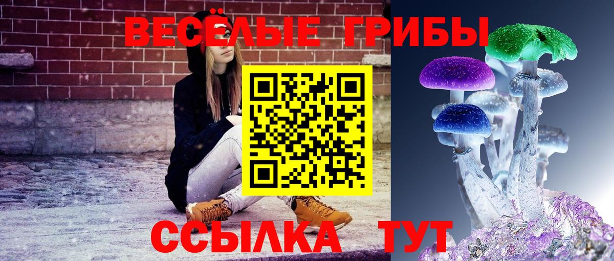 Псилоцибиновые грибы мухоморы  Вход с VPN  Ижевск 