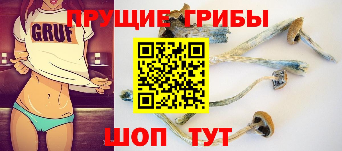 Псилоцибиновые грибы GOLDEN TEACHER Ижевск